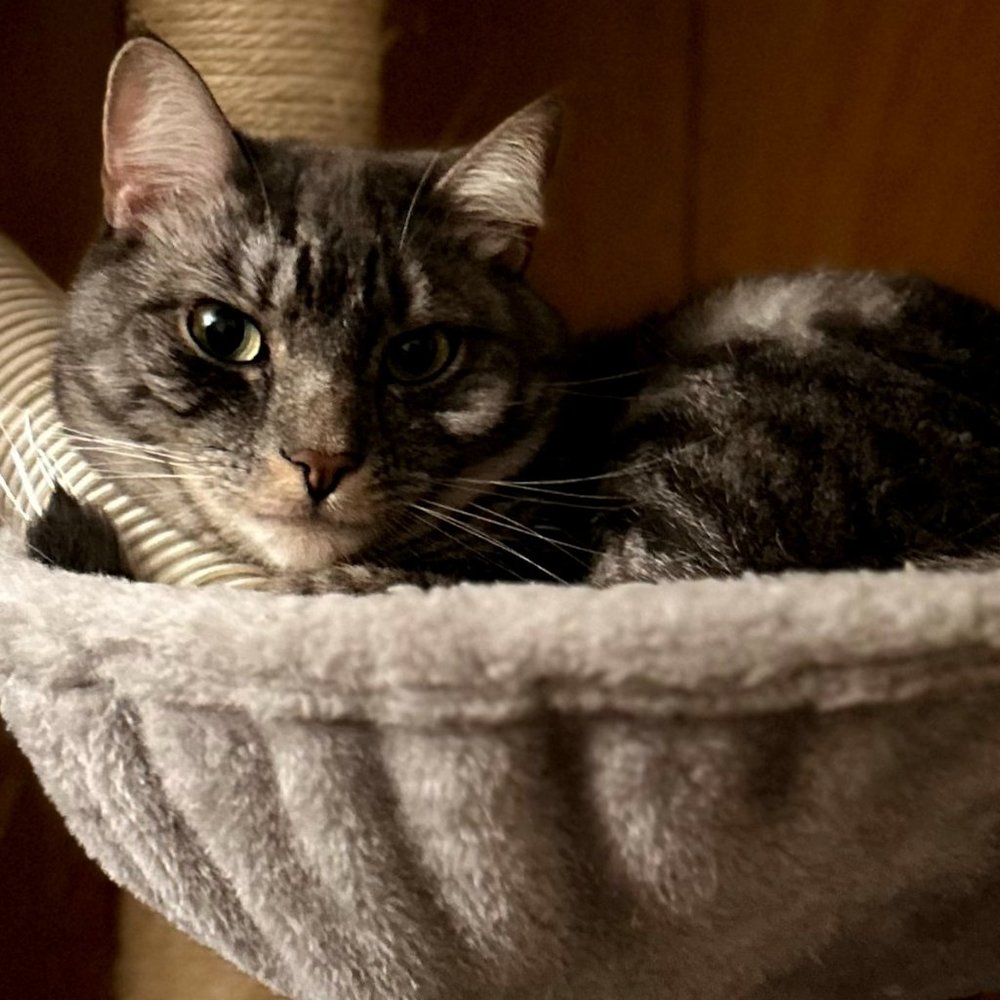 Meet your Posher, Ana